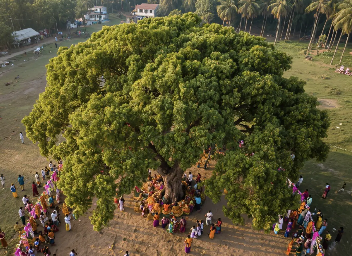 Vat Purnima Photo Pose